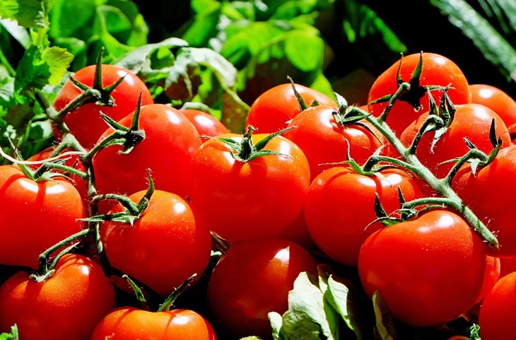 Tomat memiliki kandungan antioksidan kuat. (Foto: Pixabay/Couleur)