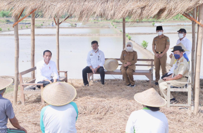 Setelah Tanam Padi, Jokowi Pastikan Tak Ada Impor Beras Hingga Akhir Tahun