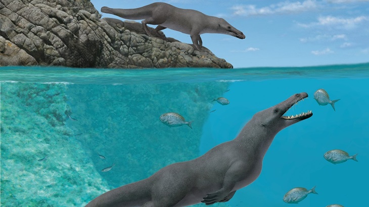 Di Masa Lalu, Paus Punya Empat Kaki