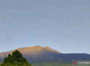 Gunung Sorikmarapi Bergetar Hebat Hingga Naik Status Waspada, Ratusan Gempa Vulkanik Terekam Sepanjang Juli 2026