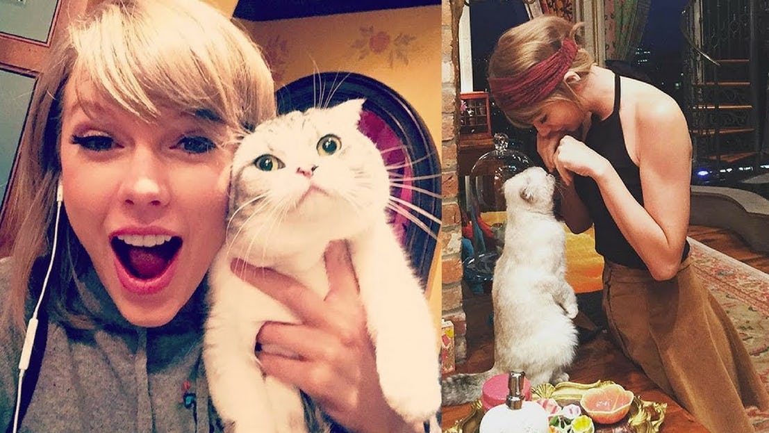 Taylor Swift Sangat Mencintai Kucing Peliharaannya (Sumber: The Richest)