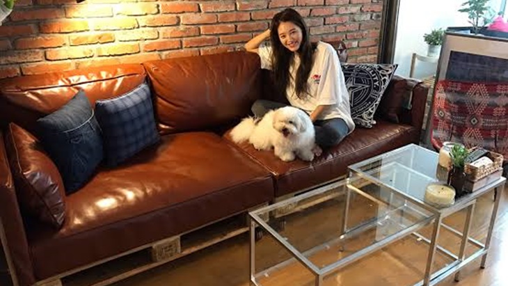 Bakat Terpendam Idola Kpop yang Mengagumkan