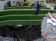 Impor Tidak Turunkan Harga Beras Karena Harus Lewat Singapura