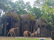 Nataru 2026, Taman Margasatwa Ragunan Dipenuhi 408 Ribu Wisatawan