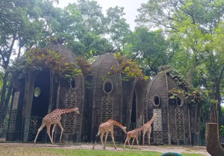 Bayar Tiket Ragunan Ribet, Anggota Dewan Curigai Potensi Kebocoran Duit Daerah
