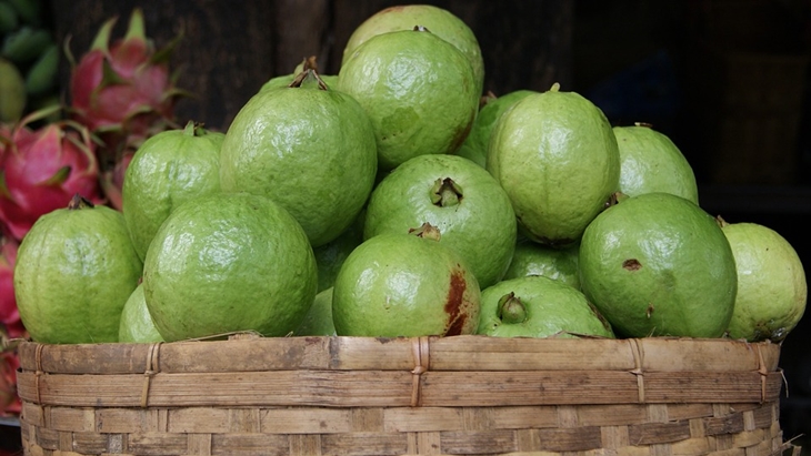 Rebusan Jambu Biji Turunkan Kadar Gula Diabetes