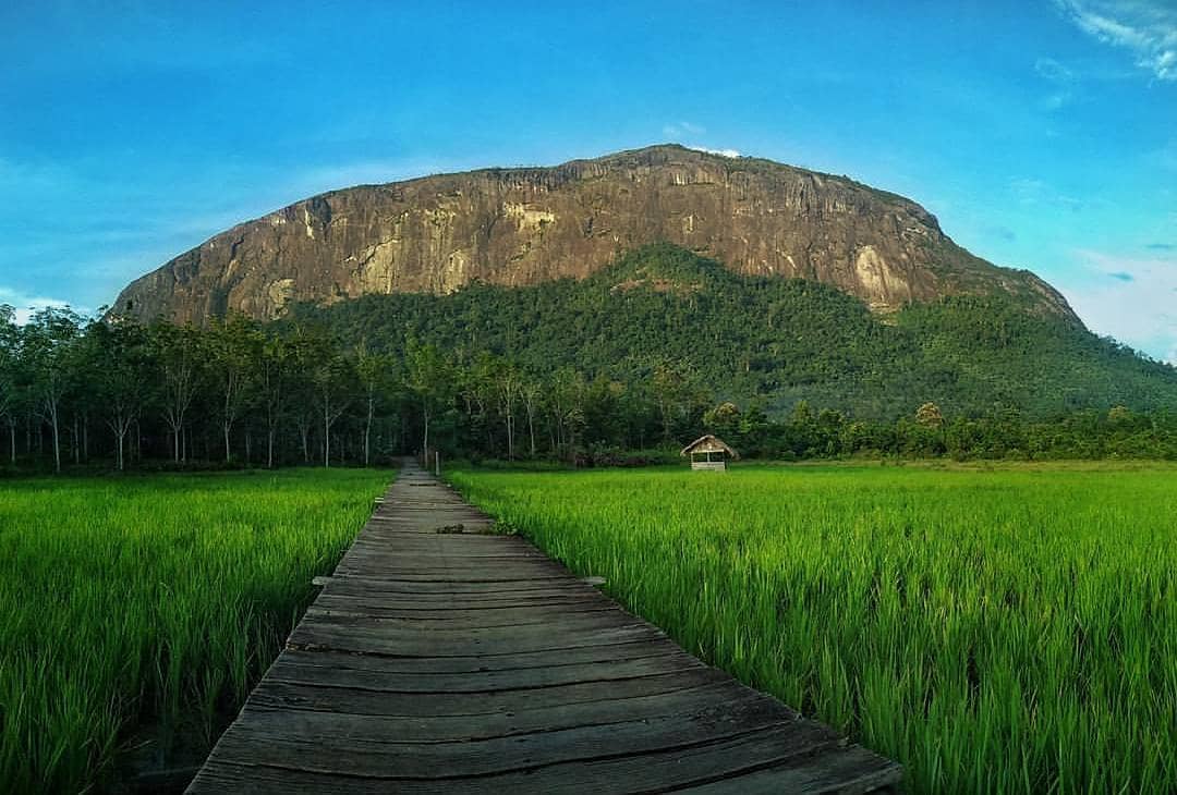 Bukit kelam menjadi destinasi favorit di Sintang (Instagram/dedi_mesak)
