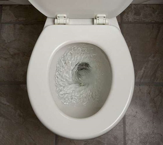 Bakteri di Toilet