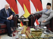 Prabowo dan Presiden Jerman Sepakat Perkuat Diplomasi untuk Jaga Perdamaian Dunia