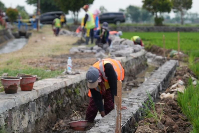 Buka Lapangan Kerja, Kementerian PU Gelontorkan Rp 1,2 Triliun Untuk Padat Karya di 1.059 Lokasi