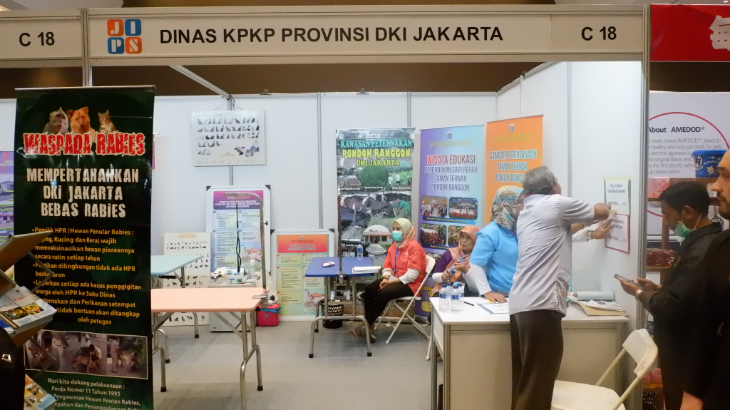 Jips 2019
