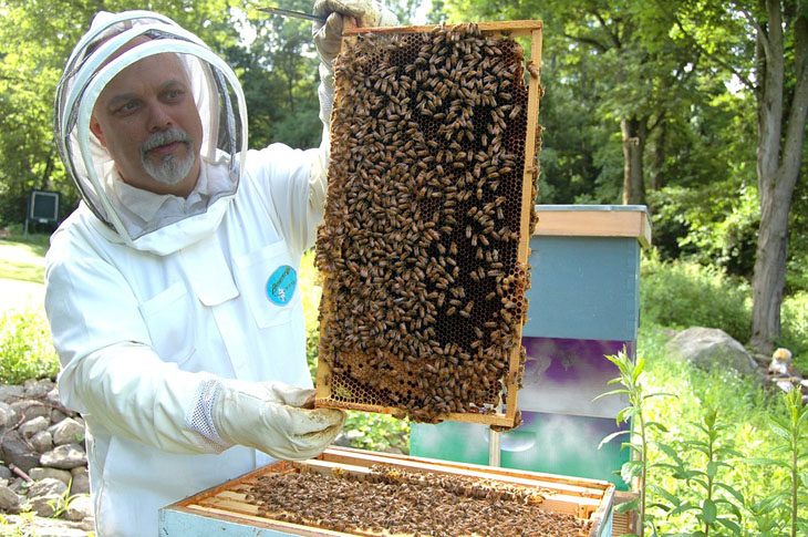 beekeeper