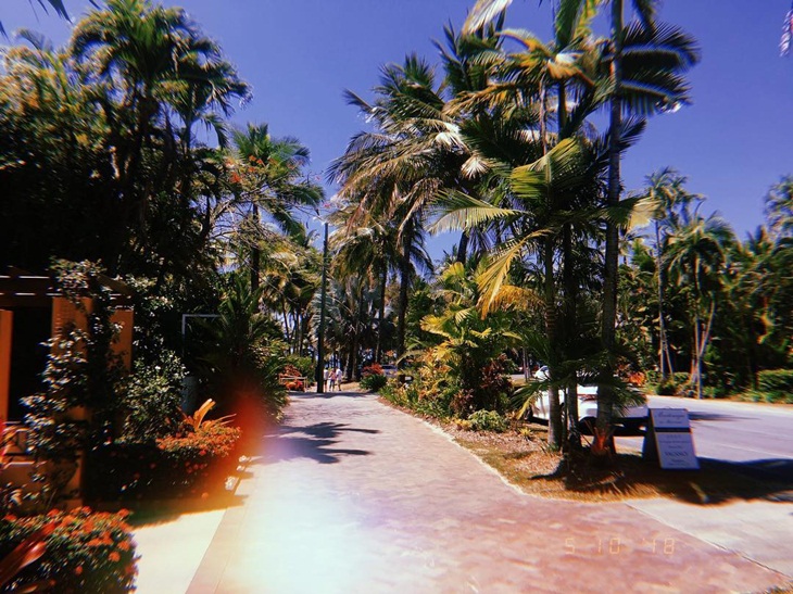 Martinique on Macrossan. (Foto: instagram.com/finechynna_)