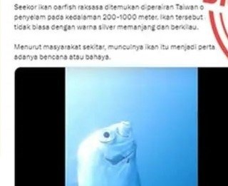 [HOAKS atau FAKTA]: Penemuan Ikan Oarfish Pertanda Bencana