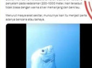 [HOAKS atau FAKTA]: Penemuan Ikan Oarfish Pertanda Bencana