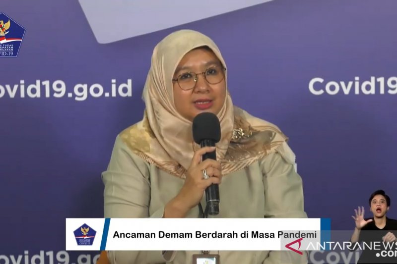 Direktur Penyakit Tular Vektor dan Zoonotik Kemenkes RI dr Siti Nadia Tarmizi. (ANTARA/Muhammad Zulfikar)