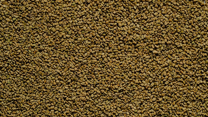 Manfaat Fenugreek untuk Kesehatan