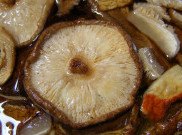 Mengenal Beragam Manfaat Jamur Shitake