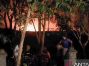 Hutan Kota Ujung Menteng Jakarta Timur Kebakaran
