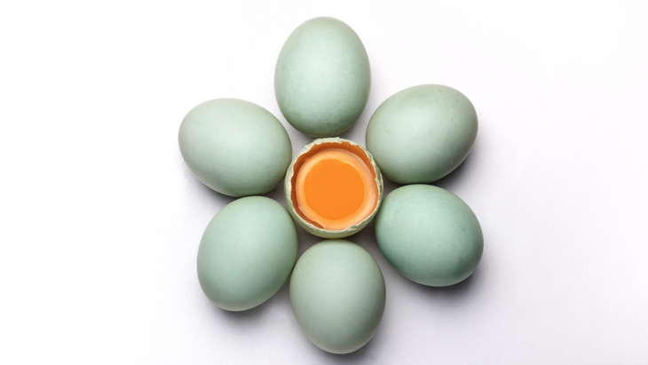 Telur Bebek yang Kaya Vitamin dan Mineral