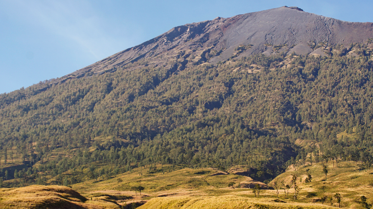   Wisata Pendakian Gunung Rinjani Masih Sepi Pengunjung