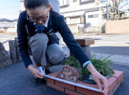 Lucunya Taman Terkecil Dunia ada di Jepang, Ukurannya Cuma 0,24 Meter Persegi