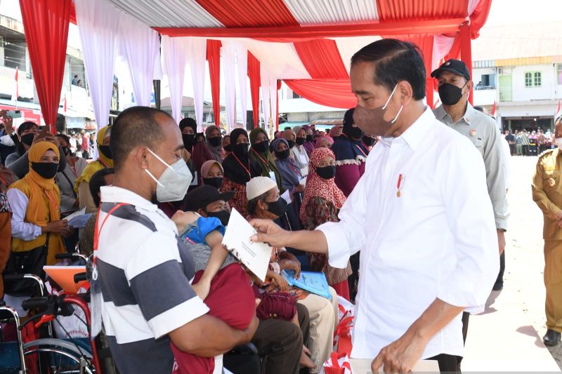 Jokowi Tinjau Pengembangan Kelapa Genjah di Jateng