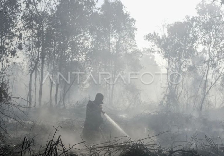 Kabut Asap Karhutla Lumpuhkan Penerbangan Kalimantan: Cek Update Bandara Terdampak dan Hak Penumpang