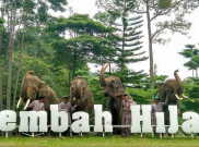 Lembah Hijau, Destinasi Keluarga di Lampung