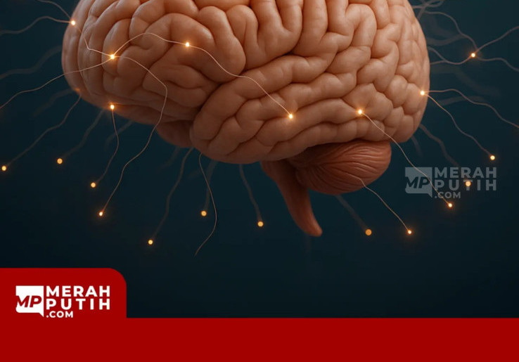 Dari Pola Makan hingga Durasi Tidur, Pakar Ungkap 5 Cara untuk Menjaga Kesehatan Otak