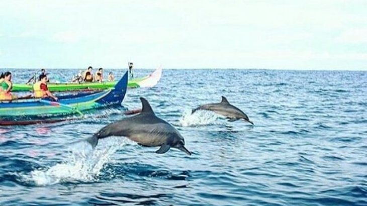 Teluk Kiluan, Wisata Sempurna di Lampung - MerahPutih