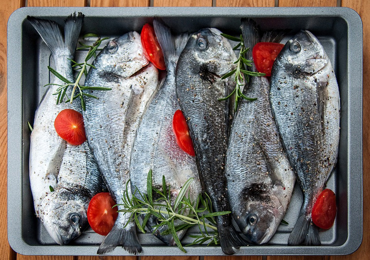 fish