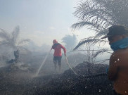 50 Hektare Lahan di Bengkalis Terbakar