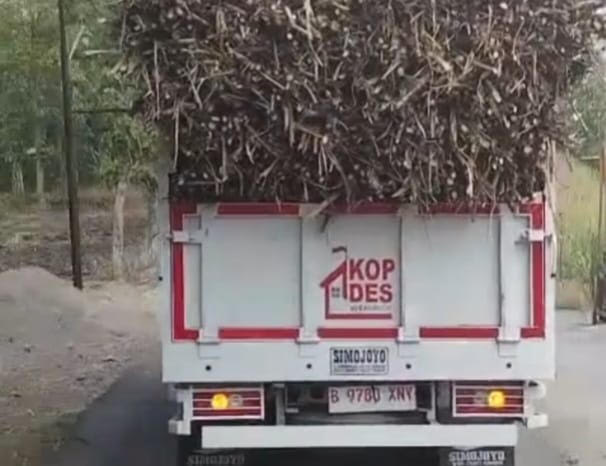 Truk KDMP Belum Punya BPKB Nekat Beroperasi Viral di TikTok, Kodim Semprit Pengelola