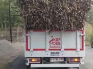 Truk KDMP Belum Punya BPKB Nekat Beroperasi Viral di TikTok, Kodim Semprit Pengelola