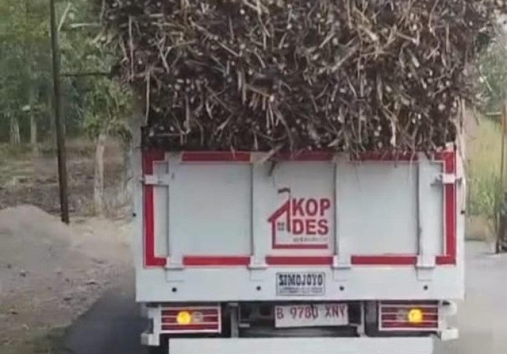 Truk KDMP Belum Punya BPKB Nekat Beroperasi Viral di TikTok, Kodim Semprit Pengelola