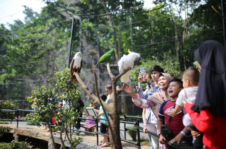 KPK Supervisi Pemkot Bandung Ambil Alih Aset Kebun Binatang