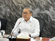4 Provinsi Bakal Dipilih Jadi Tempat Swasembada Pangan, Air dan Energi, Rp 8 Triliun Buat Cetak Sawah Baru