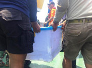 Black Box Sudah Diangkat, Sekarang Lanjut Tugas Investigasi KNKT