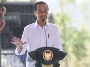 Jokowi Tanggapi Keberlanjutan Pembangunan IKN saat Presiden Selanjutnya