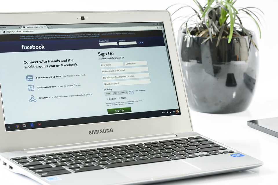 Panduan ini merupakan komitmen Facebook untuk mendukung demokrasi (Foto: Pixabay/PhotoMIX-Company)