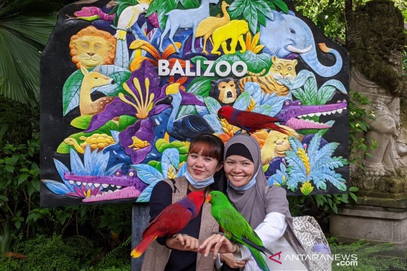 Jejak Inovasi Bali Zoo Bangkit dari Terpaan Pandemi