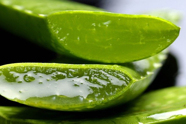 Masker lidah buaya menutrisi kulit kepala. (Foto: Pixabay/casellesingold)