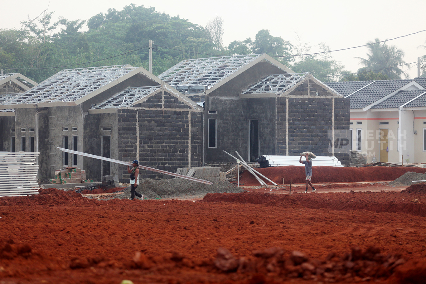 Program Rumah Subsidi Nasional Diperluas Hingga ke Papua: Peluang dan Tantangan Mewujudkan Hunian Layak Bagi Masyarakat Papua
