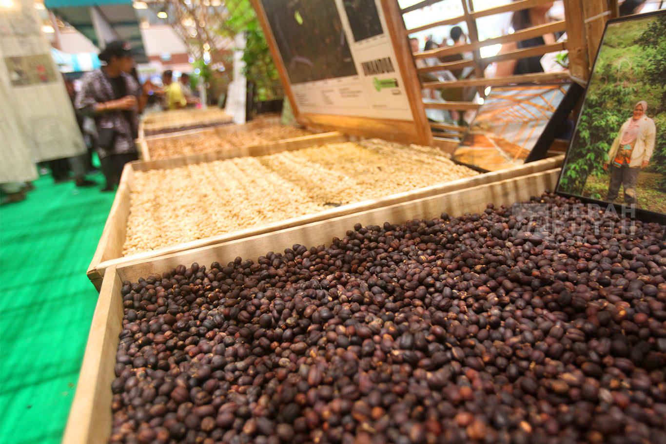 Berburu Biji Kopi dalam Pameran Kopi Internasional World of Coffee Jakarta 2025