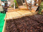 Berburu Biji Kopi dalam Pameran Kopi Internasional World of Coffee Jakarta 2025