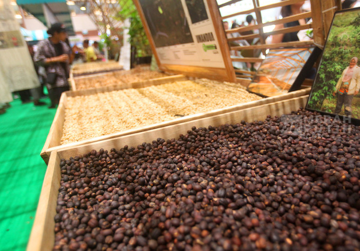 Berburu Biji Kopi dalam Pameran Kopi Internasional World of Coffee Jakarta 2025