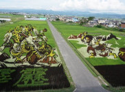 Seni Tanbo, Menjadikan Sawah Sebagai Kanvas Raksasa