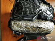 Pandemi COVID-19 dan Legalisasi Bikin Konsumsi Ganja Naik