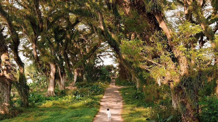 5 Alasan Jalan-Jalan ke Banyuwangi, Keindahan di Jawa Timur